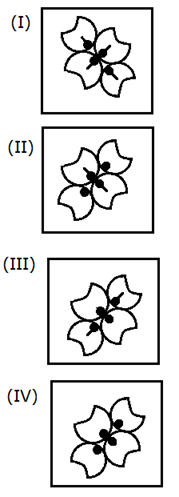 Question figure